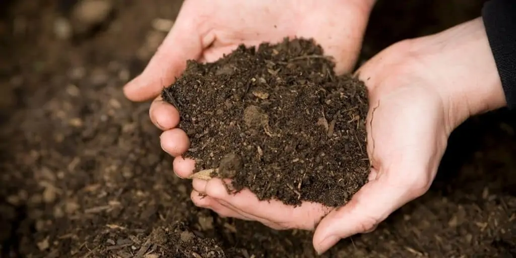 soil quality