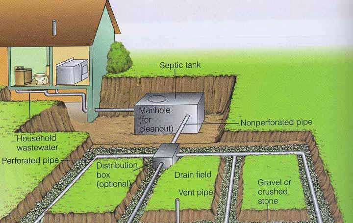 drainfield