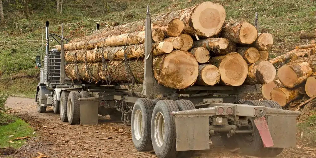 logs on a truck