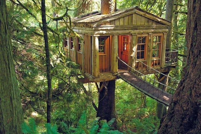 tree house