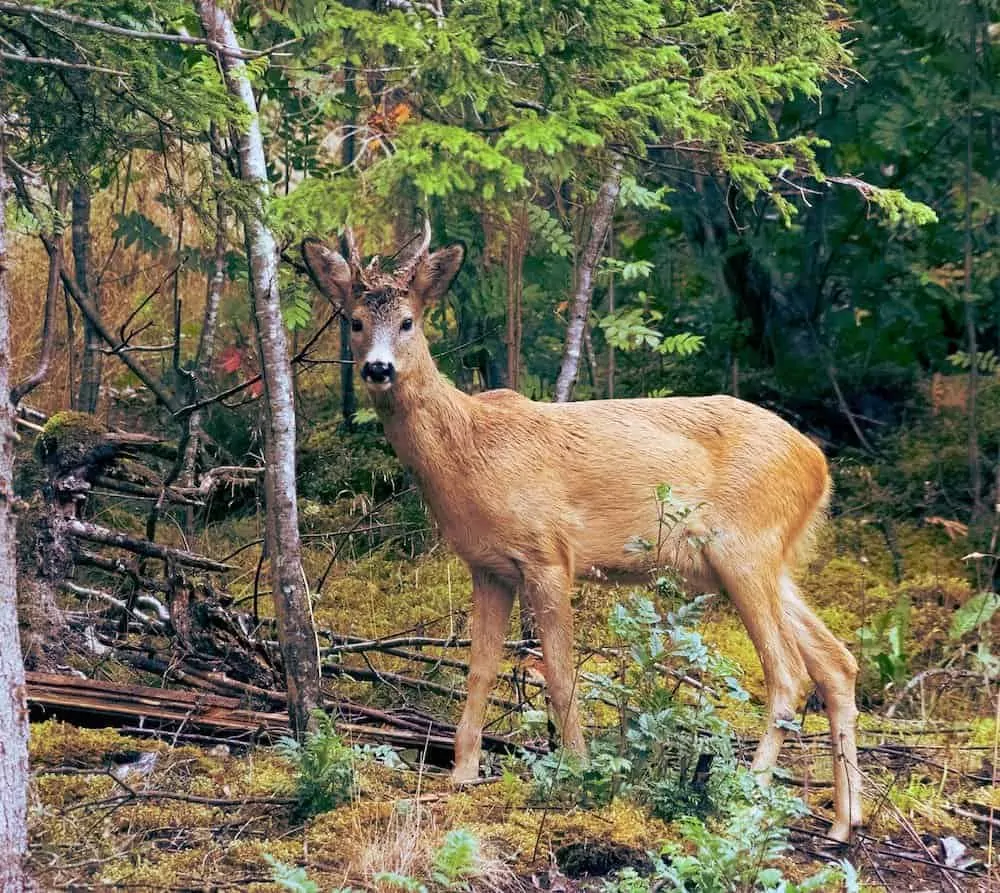 wildlife preserve