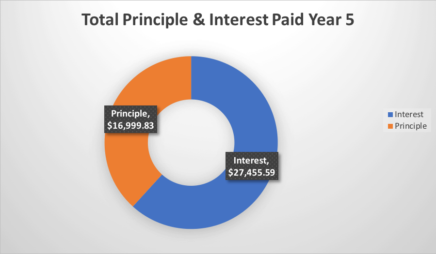 amortization donut chart year 5