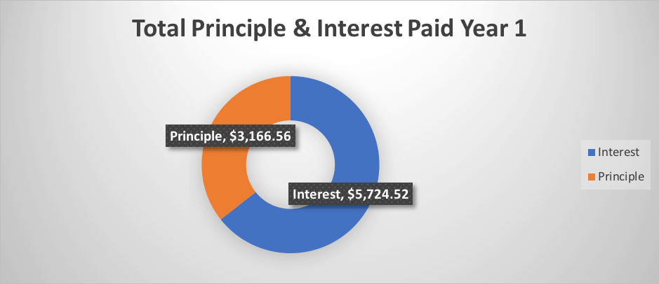 amortization donut chart