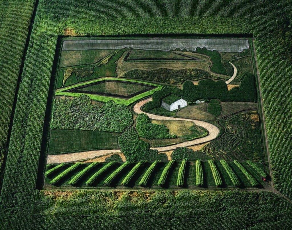 crop art