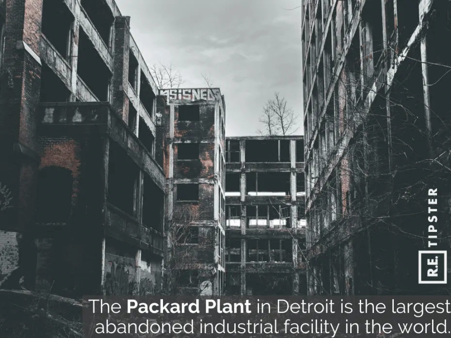 packard plant detroit largest abandoned industrial facility world