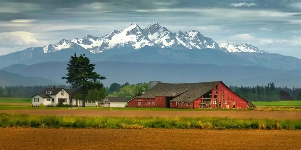 homestead land