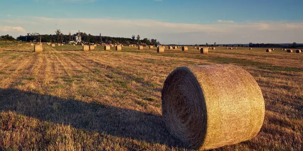 farmland