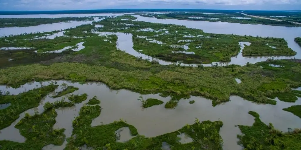 wetland