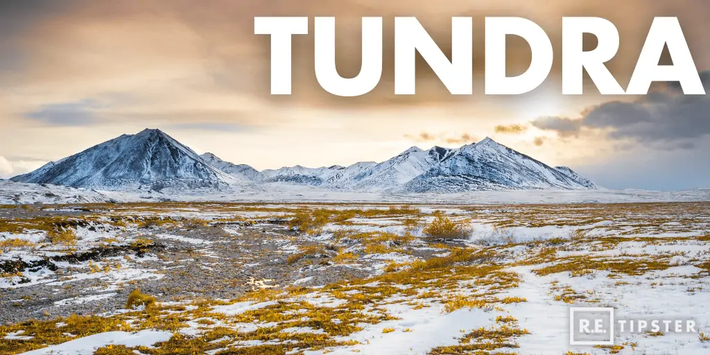 TUNDRA land