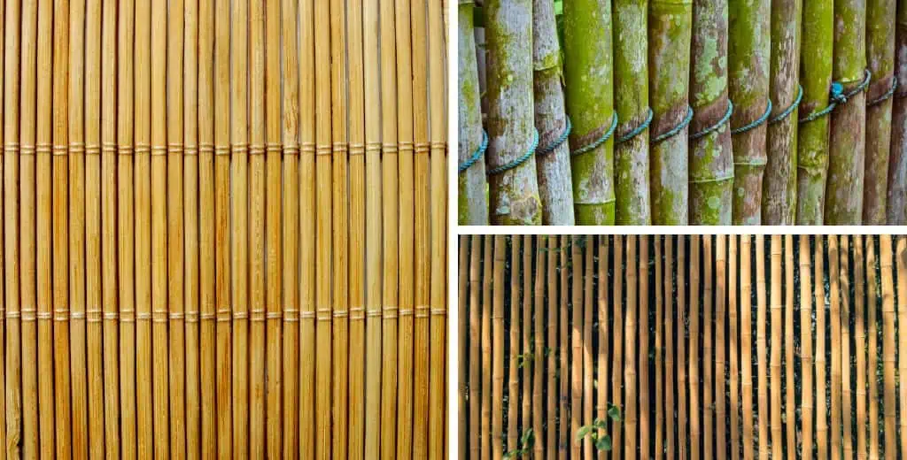 Bamboo Fence