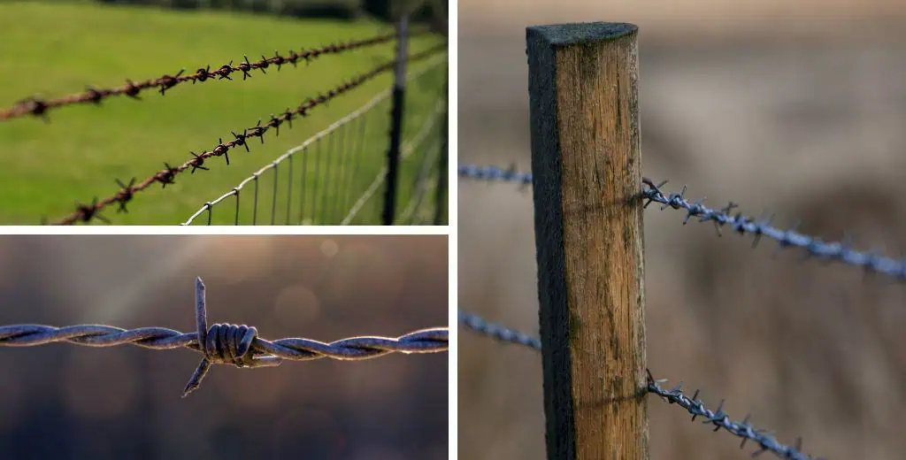 Barbed Wire Fence