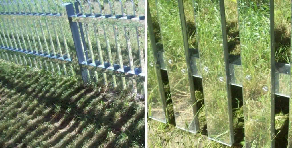 Mirror Fence