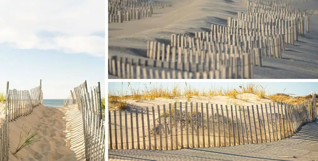 Sand Fence