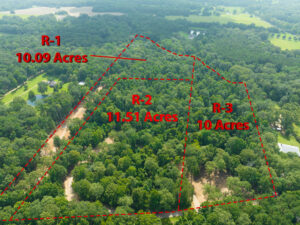 Bird's eye view of the subject property