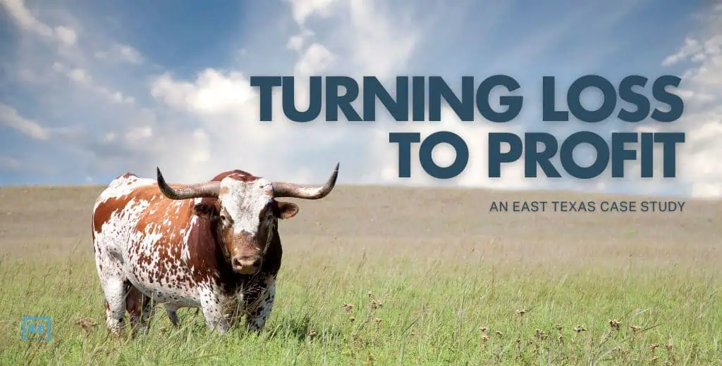 turning-loss-to-profit